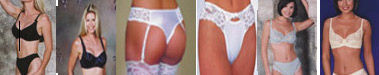 lingerie.jpg (13756 bytes)